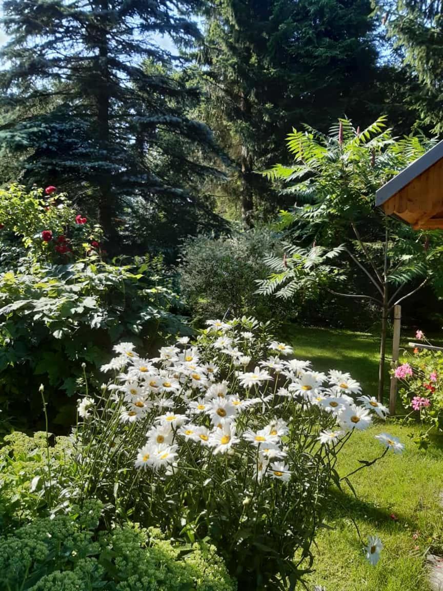Seidelsferienparadiesgahlenz Exterior photo